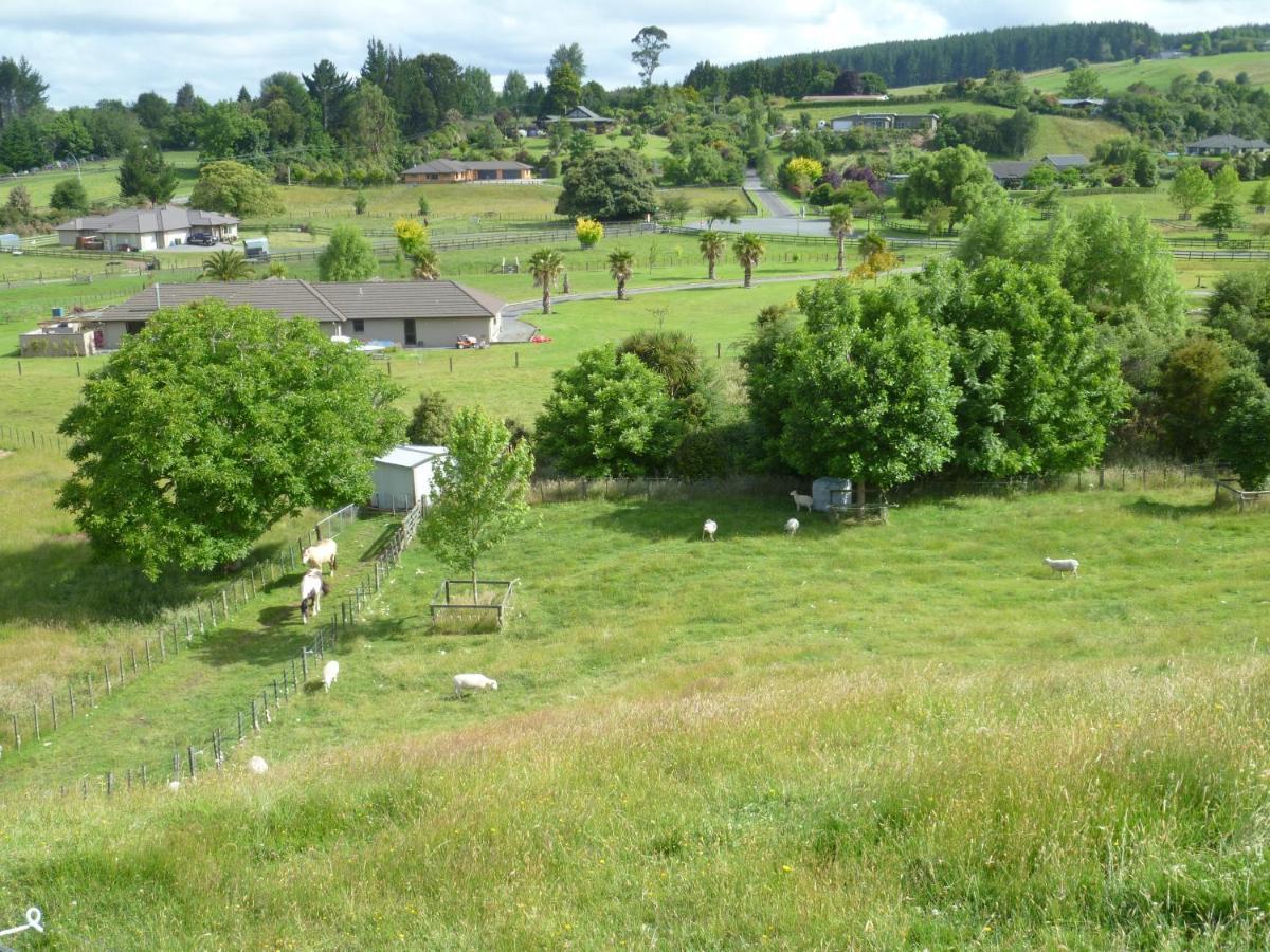 Bellarosa B&B Rotorua Eksteriør billede